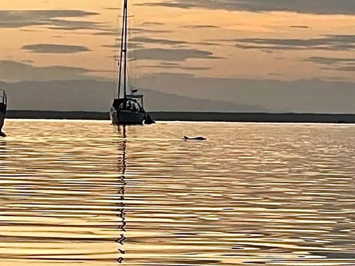 Villa Amaya Bocas del Toro Eksteriør bilde